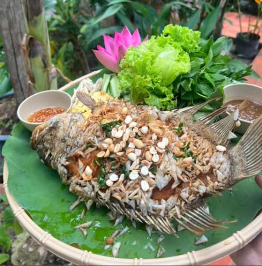 CÁ CHÉP - LĂNG
